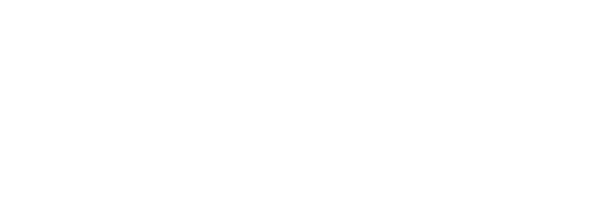 Next Level Kidz Franchise